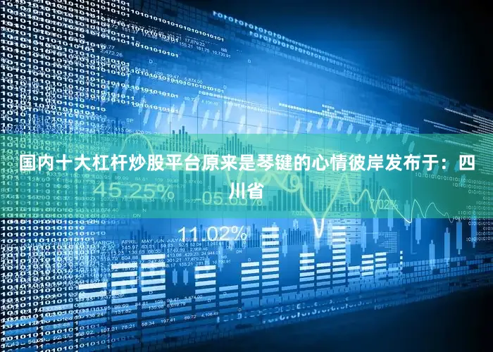 国内十大杠杆炒股平台原来是琴键的心情彼岸发布于：四川省