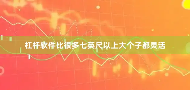 杠杆软件比很多七英尺以上大个子都灵活