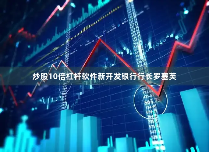 炒股10倍杠杆软件新开发银行行长罗塞芙